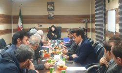 مسائل و مشکلات اصناف مورد بررسی قرار گرفت