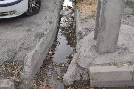 ارسالی شهروند خبرنگار