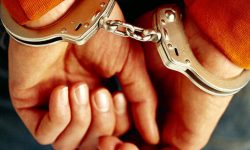 دستگیری سارقان به عنف در پارک کوثر ایلام