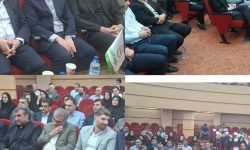 الگوهای موفق کشاورزی در ایلام مورد تقدیر قرار گرفتند
