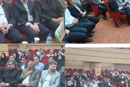 الگوهای موفق کشاورزی در ایلام مورد تقدیر قرار گرفتند