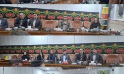 انتقاد از انتقال حق بیمه صنایع آلاینده و زائران به تهران