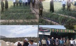 بازدید مسئولان سازمان منابع طبیعی کشور از نهالستان ایوان و موکب سیدالشهدا