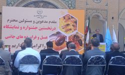 ایلام سهبرابر نیاز خود عسل تولید میکند اما نیازمند حضور سرمایهگذاران بخش خصوصی است