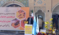 ۱۲ محصول دانش بنیان ایلام در سال آینده تجاری سازی میشوند