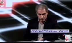 ایلام در تولید کلزا پیشتاز شد