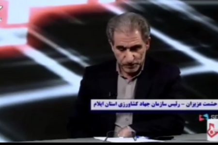 ایلام در تولید کلزا پیشتاز شد