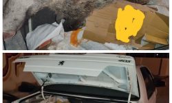 کشف لاشه یک رأس گراز وحشی از شکارچی متخلف در دهلران