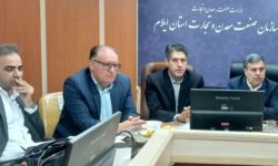 نشست هم‌اندیشی مدیران شرکت‌های پخش استان ایلام، با نماینده مردم در مجلس شورای اسلامی