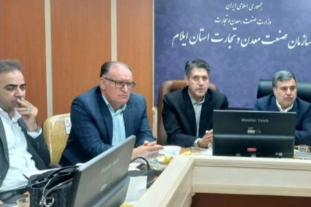 نشست هم‌اندیشی مدیران شرکت‌های پخش استان ایلام، با نماینده مردم در مجلس شورای اسلامی