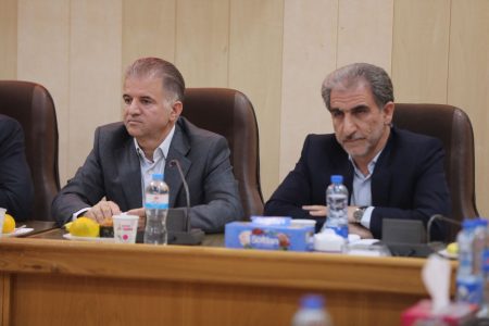 تنها ۲۰ درصد از اشتغال استان ایلام در بخش کشاورزی فعال است