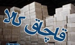 کشف کالای قاچاق فاقد مجوز در دهلران