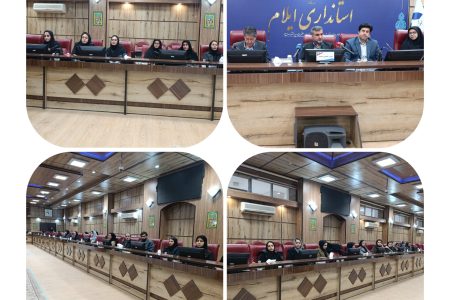 بر تقویت کارآفرینی زنان ایلامی تأکید نمود