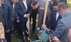 کاشت دو اصله نهال دوستی (بلوط، خرما )در استانداری ایلام به نشانه همبستگی ایلام و واسط