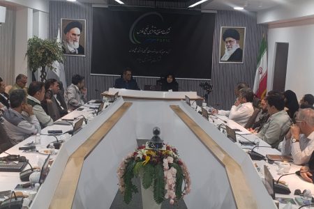تأکید نماینده ایلام بر حمایت از پتروشیمی ایلام به عنوان یک واحد تولیدی راهبردی