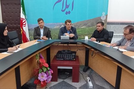 دارابی: به سراغ معلولان و سالمندانی برویم که امکان مراجعه به مراکز درمانی ندارند